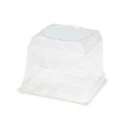 Özge Plastik Kare Pasta Kabı Kapağı 12 cm - Özge Plastik