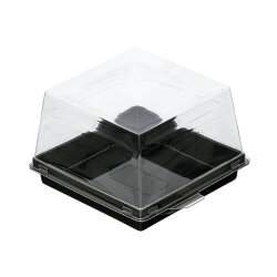 Siyah Taban Kare Pasta Kabı Set 12x12x8 cm - KullanatPazarı